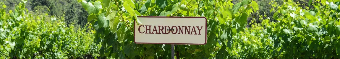 Chardonnay Wijnen